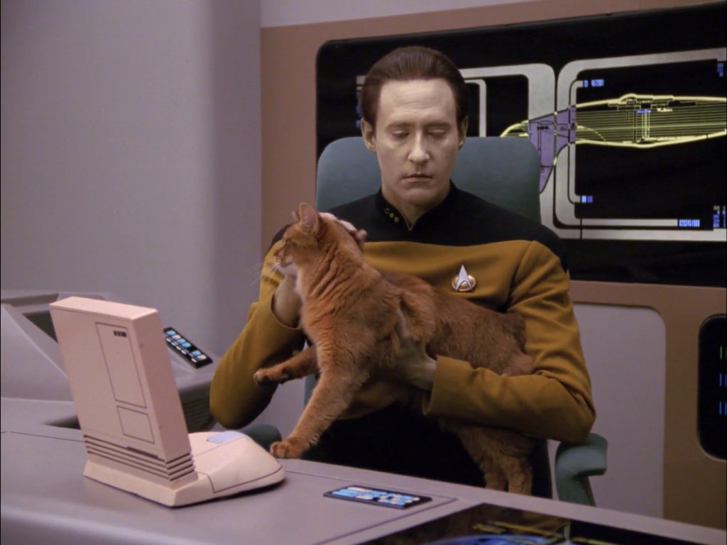 KIᗰᗷOT 🤖 tweet media