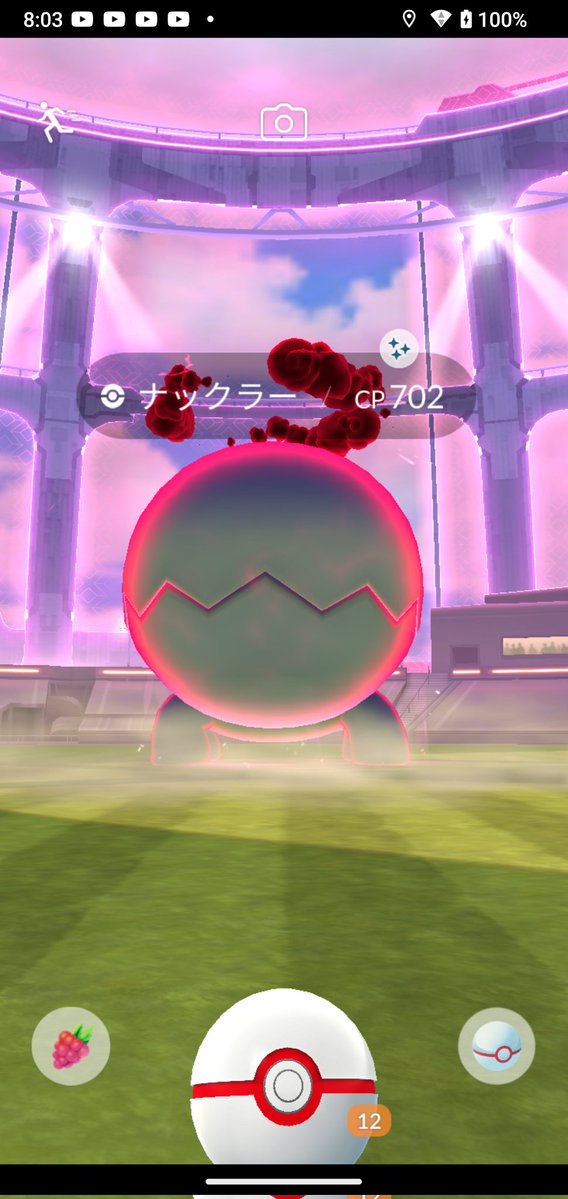 アオちゃん@茎生姜🫚🍶(blue2944JPN) tweet media