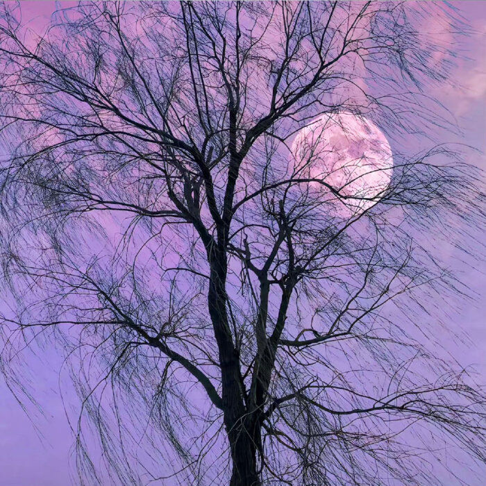 𝐒𝐞𝐫𝐞𝐧𝐚 ‎ꫂ᭪݁ tweet media