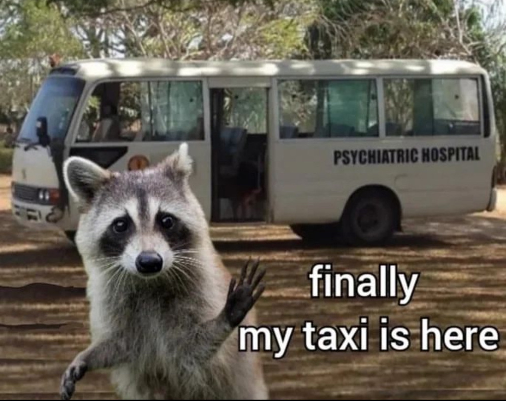 raccoon aesthetic. tweet media