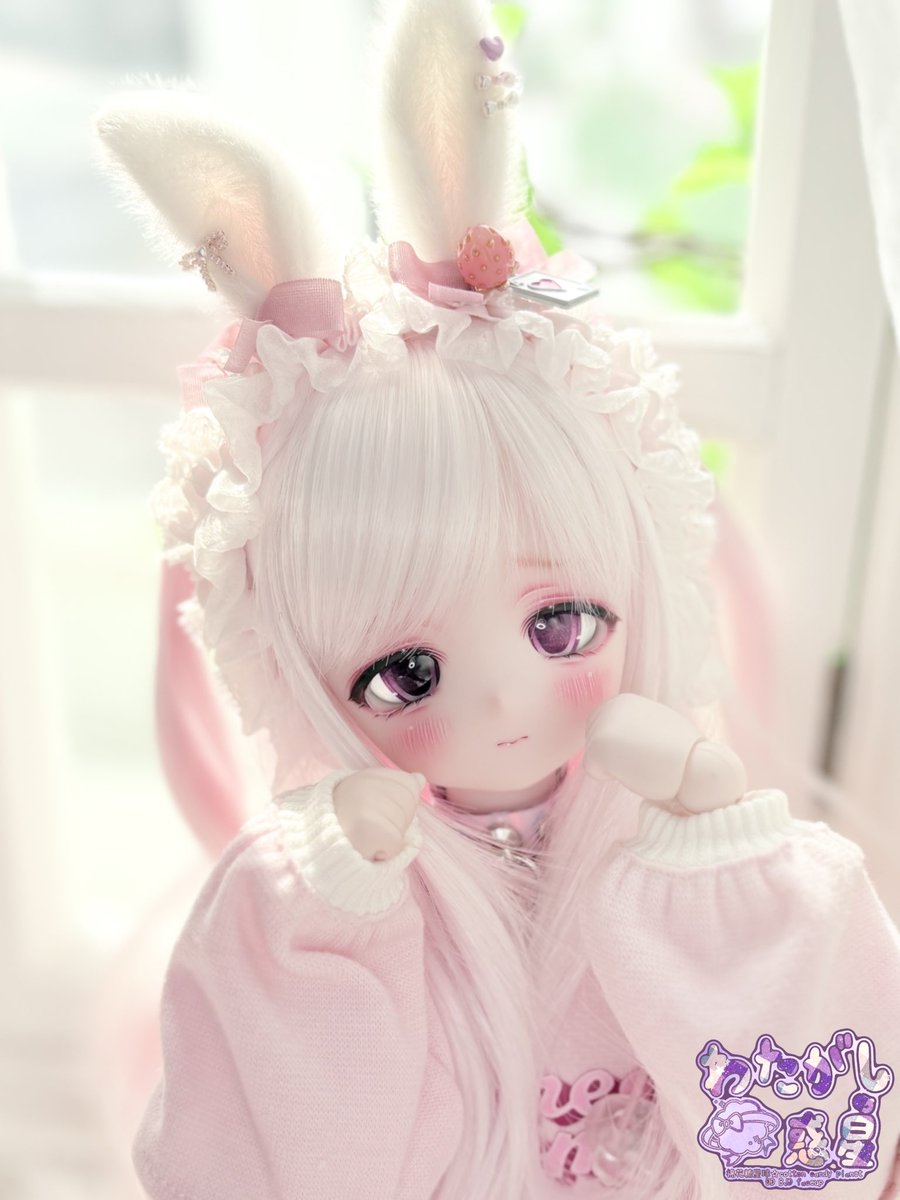 わたがしの惑星🎀瑶 tweet media