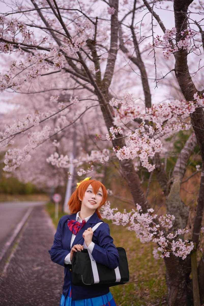 🎼머루モル🌻4/18ｱﾆｳﾝ💝 tweet media