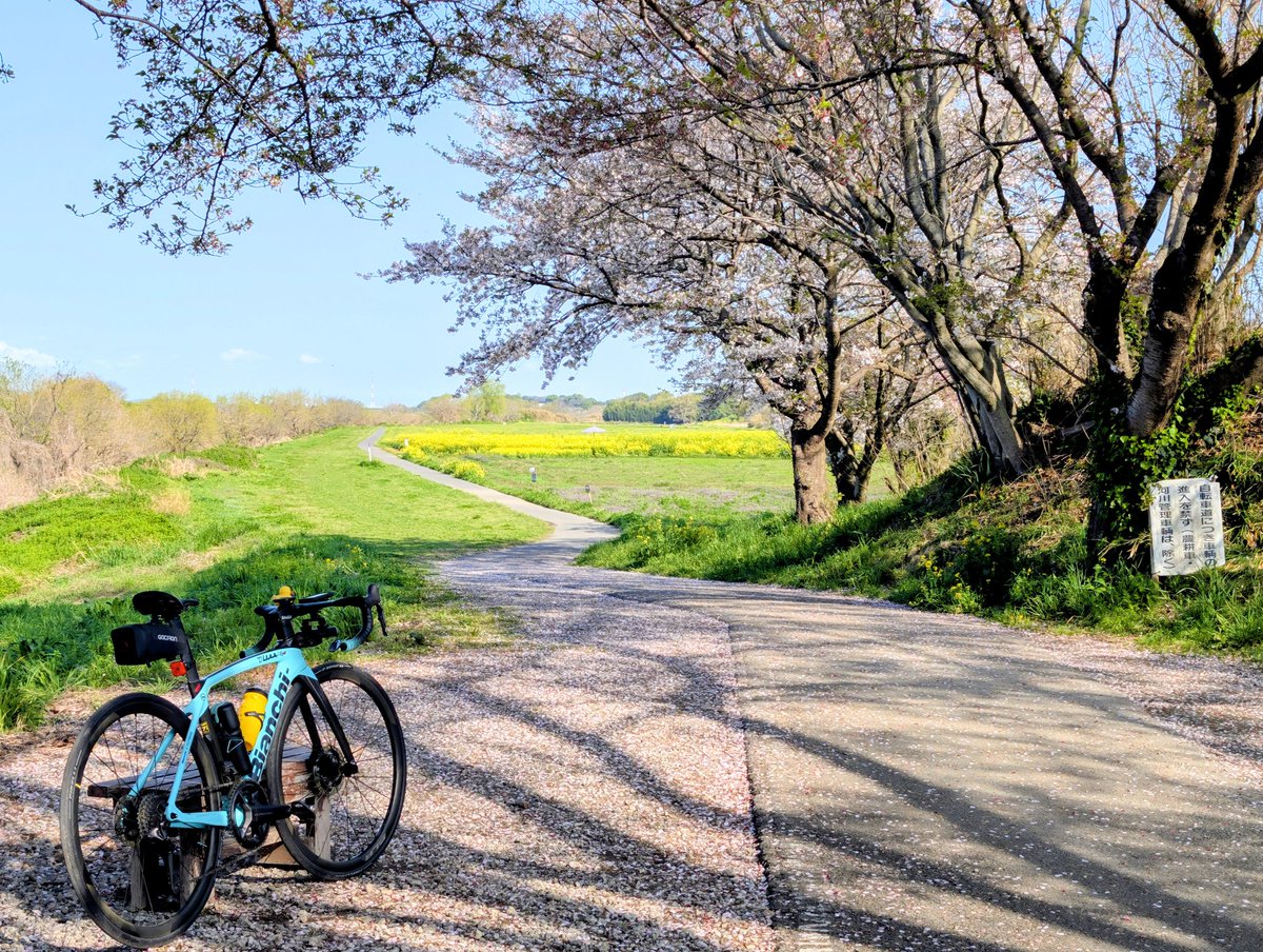 じゅん tweet media