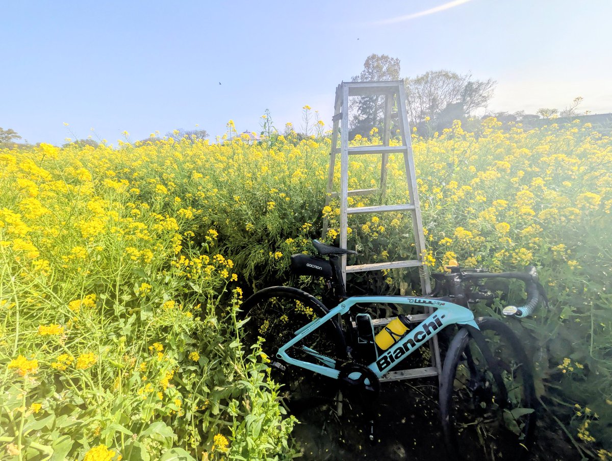 じゅん tweet media