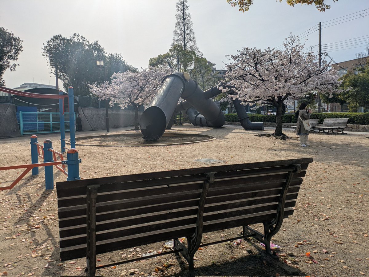 雑談好きのヒイロ🎗\(´ω`)/🎶UBI賛成! tweet media