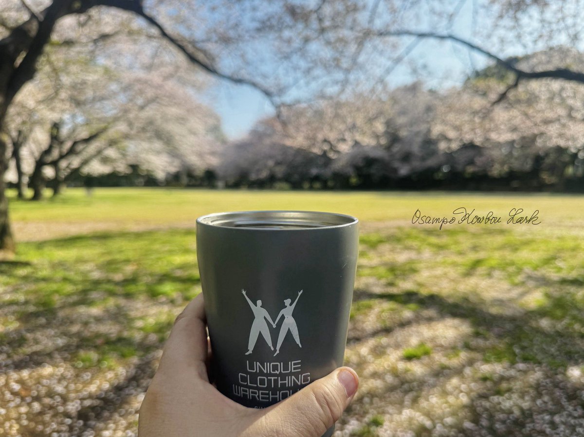 ラ～ク♪楽しい生活探し☆散歩してお茶を飲み花や鳥を愛でる日々 tweet media