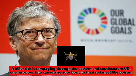 𝖭𝖶𝖢𝗈𝖺𝗌𝗍 tweet media