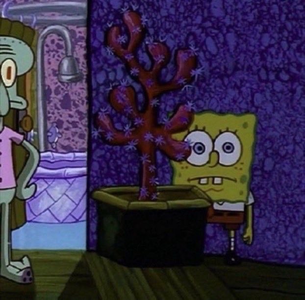 andrés. tweet media