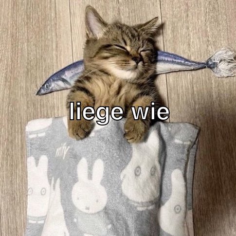 Aurelia 🗯️ tweet media