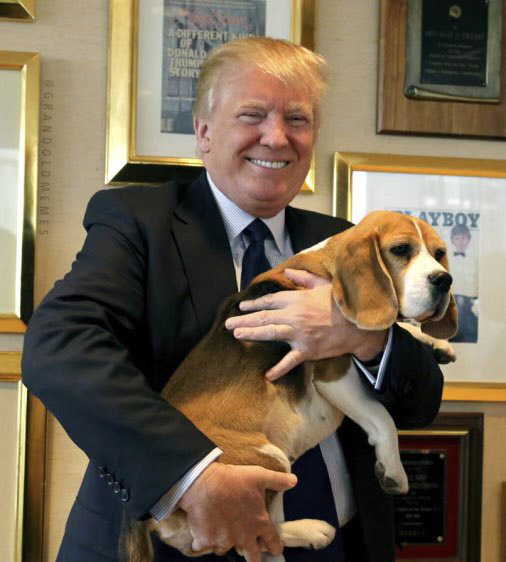 GrrrGraphics 🇺🇸- Ben & Tina Garrison Cartoons tweet media