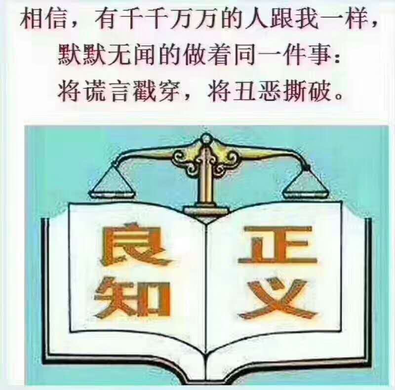 Flower Yard tweet media