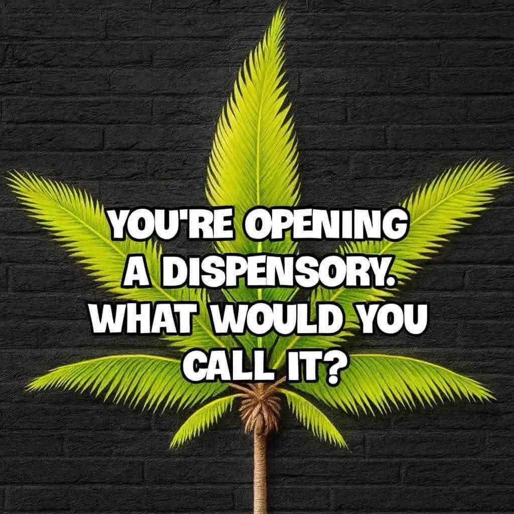 iFlyHigh™ 🎄 tweet media