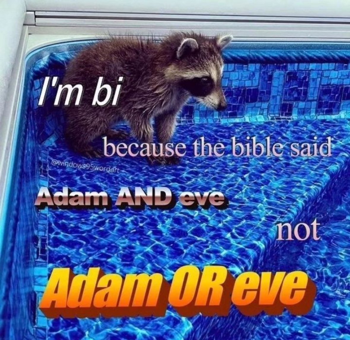 raccoon aesthetic. tweet media