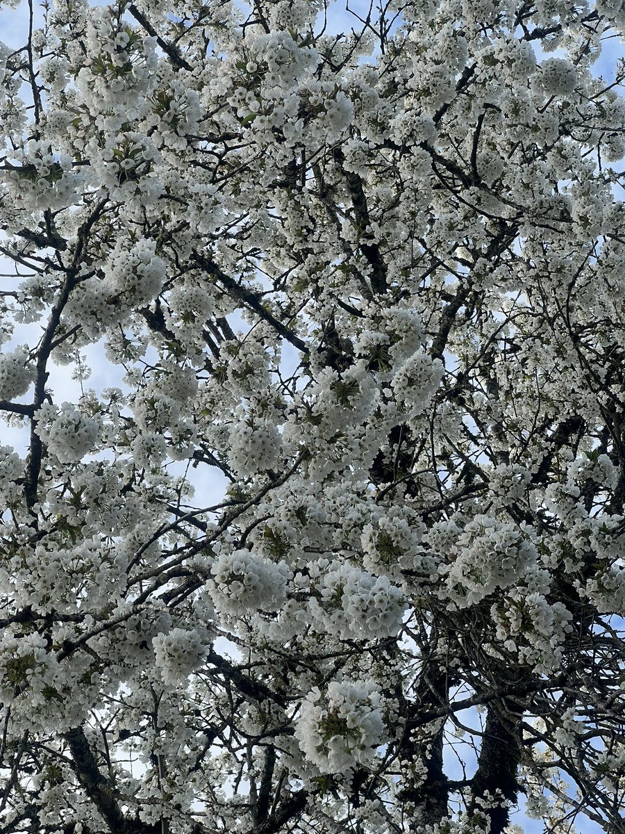 BigSh✩ts tweet media