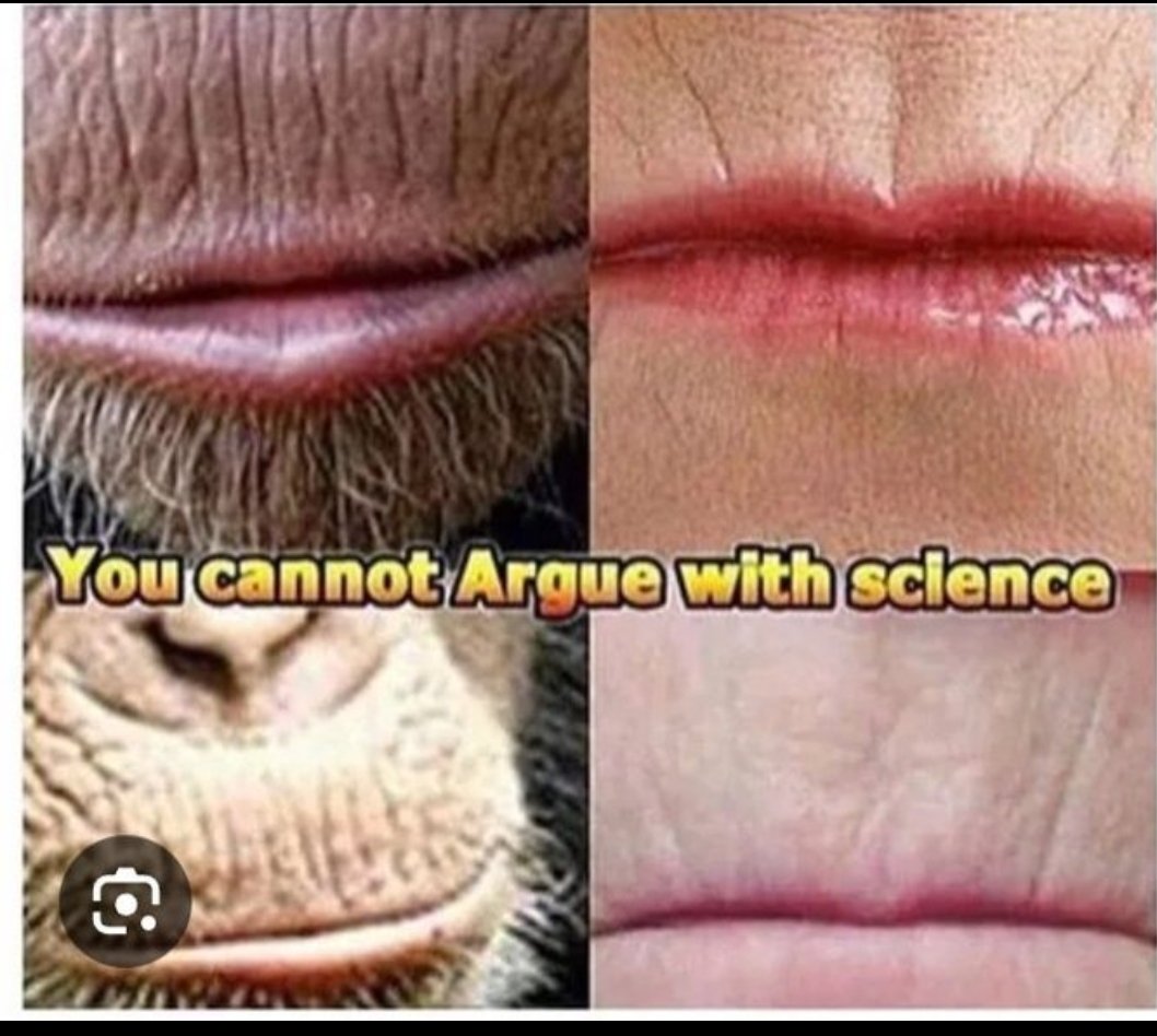 America is uneducated by design tweet media