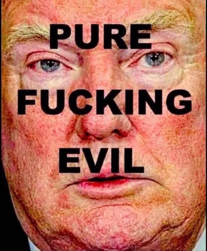 GiGi Gator Girl tweet media