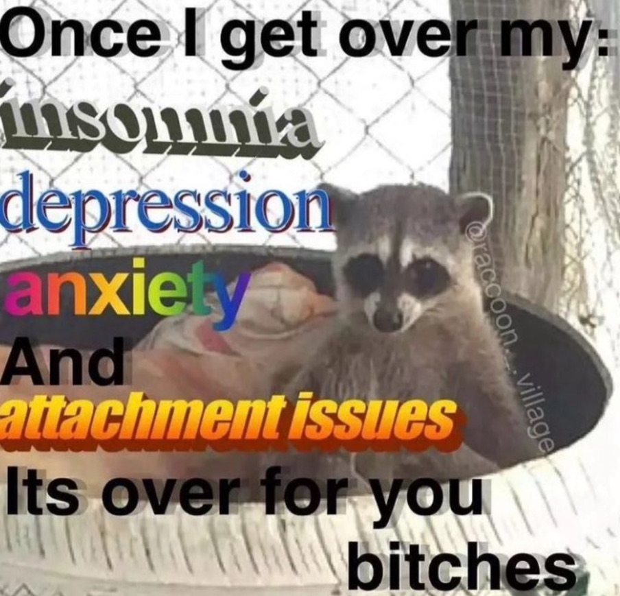 raccoon aesthetic. tweet media