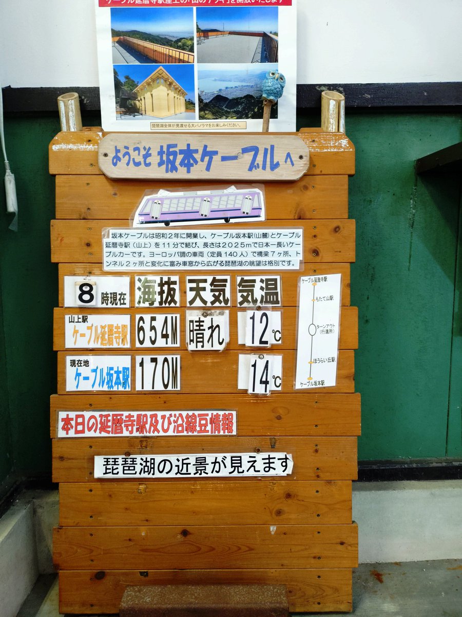 坂本ケーブル【公式】 tweet media