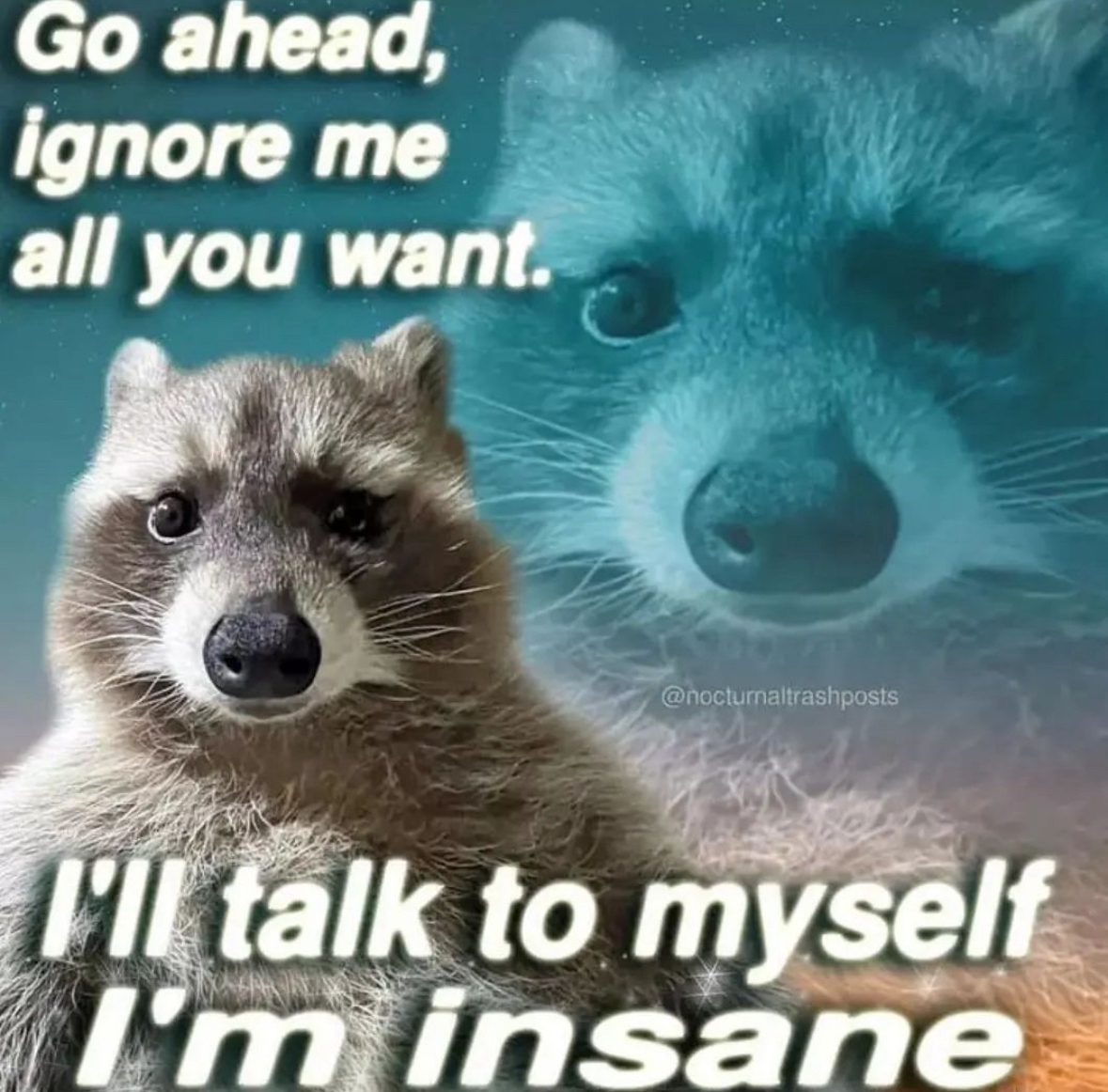 raccoon aesthetic. tweet media