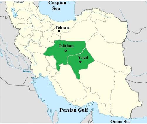 Carl Zha tweet media