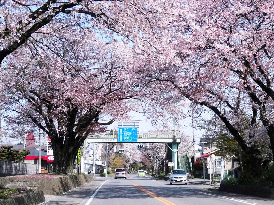 （株）むう企画【公式】 tweet media