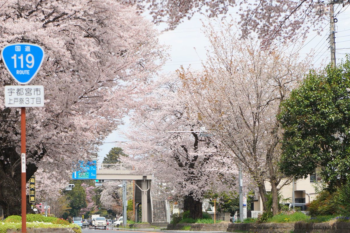 （株）むう企画【公式】 tweet media