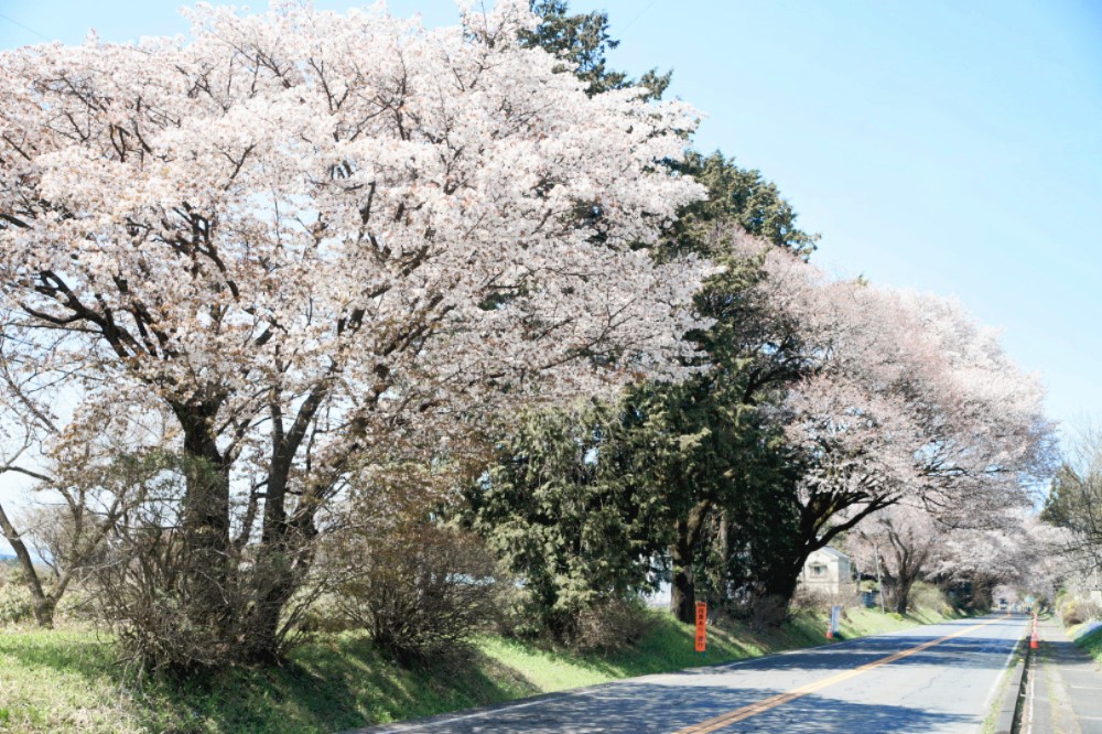 （株）むう企画【公式】 tweet media