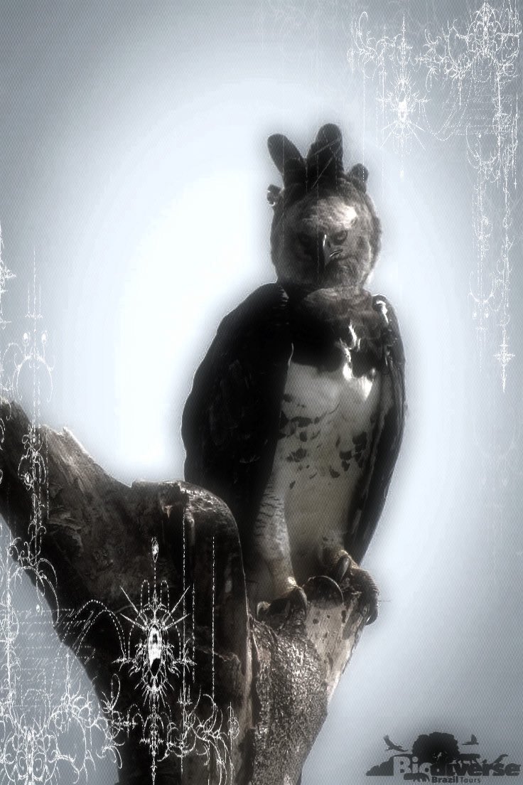 𝙅𝙤’ 🪩 tweet media