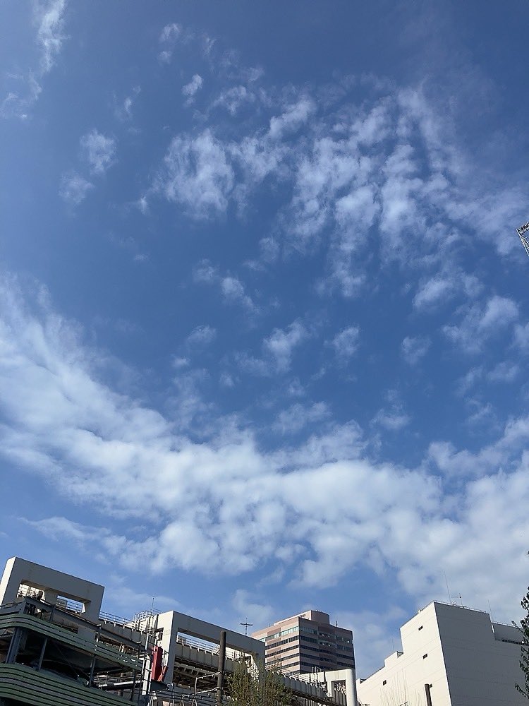 shingolfer tweet media