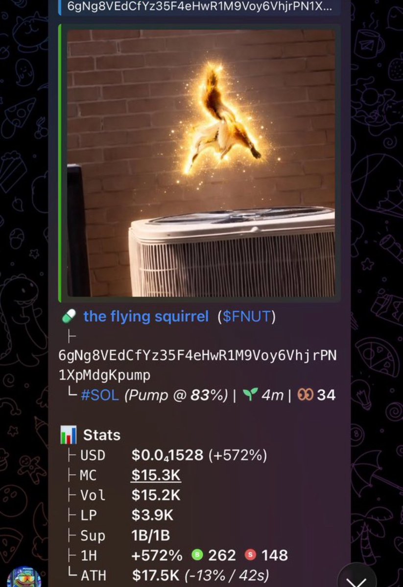 TheSolOracle tweet media