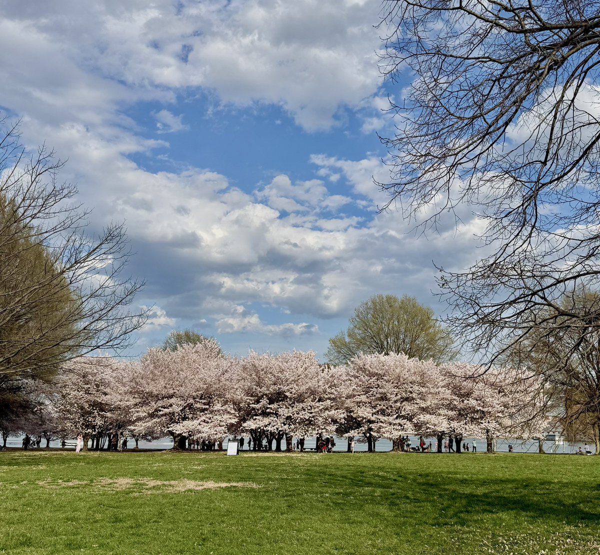 caro 🌺 springtime edition tweet media