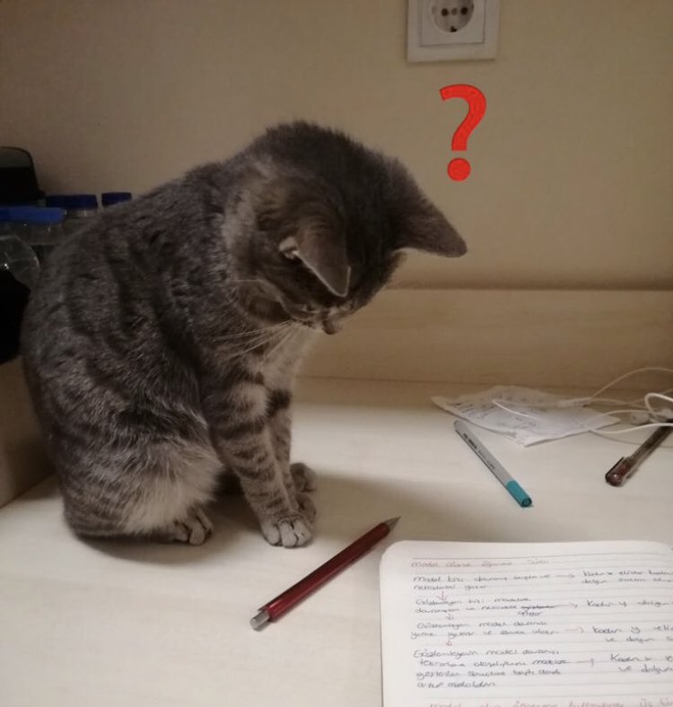 naiki | studytwt 🍎 tweet media