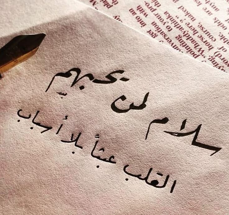 Abdulkadir ALHalabi tweet media