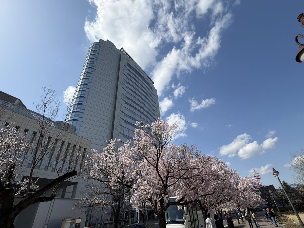 としぼー🍟 tweet media