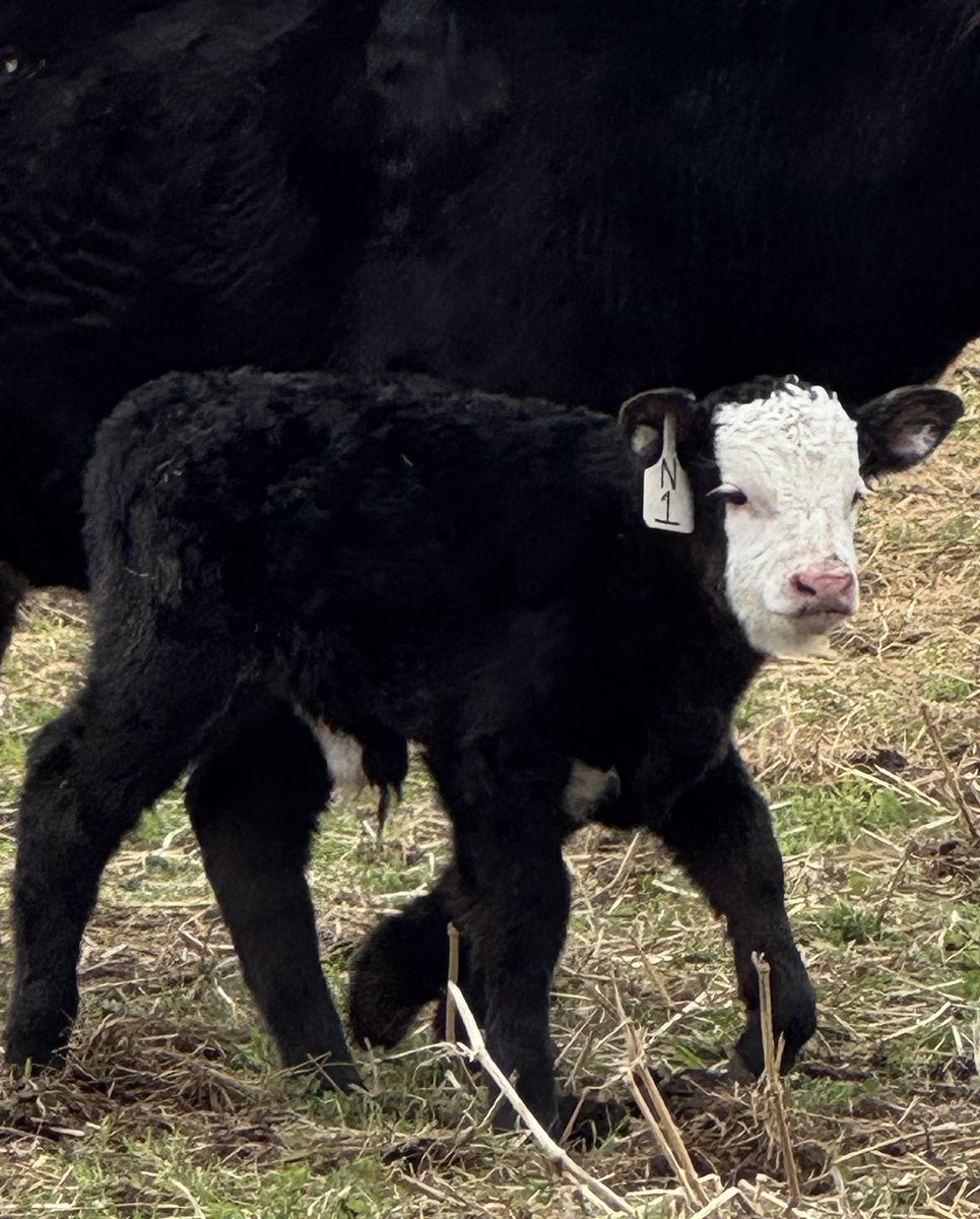 Grace Riensche tweet media