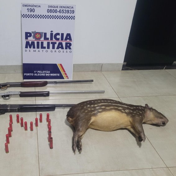 Alex Moretti tweet media