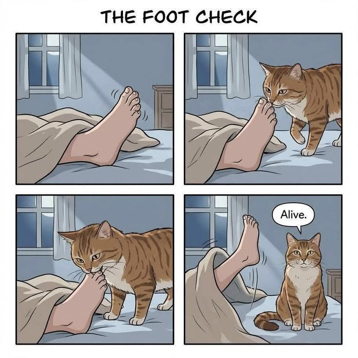 Posts Of Kittens🐾 tweet media