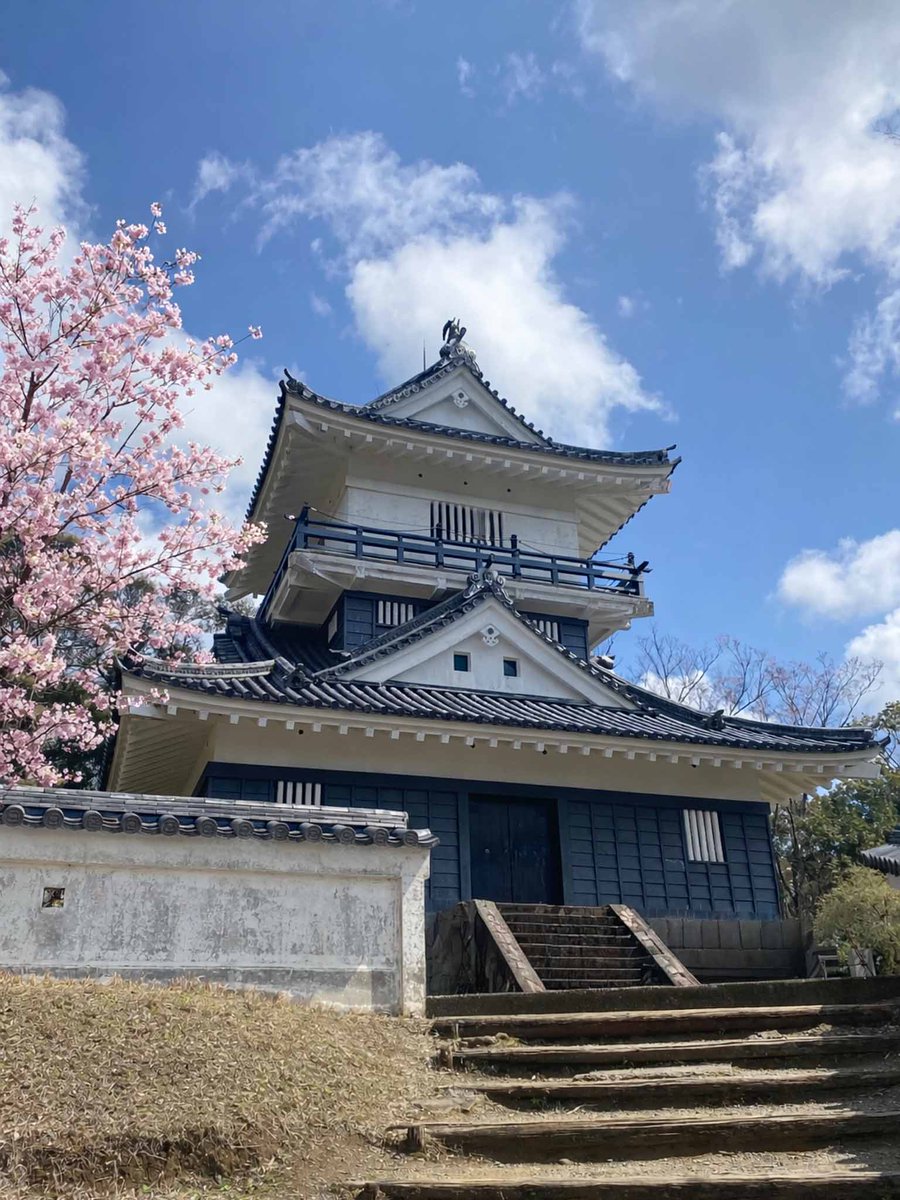 【公式・青い酒】🍶清藍｜縄時（なわとき）食品株式会社 tweet media