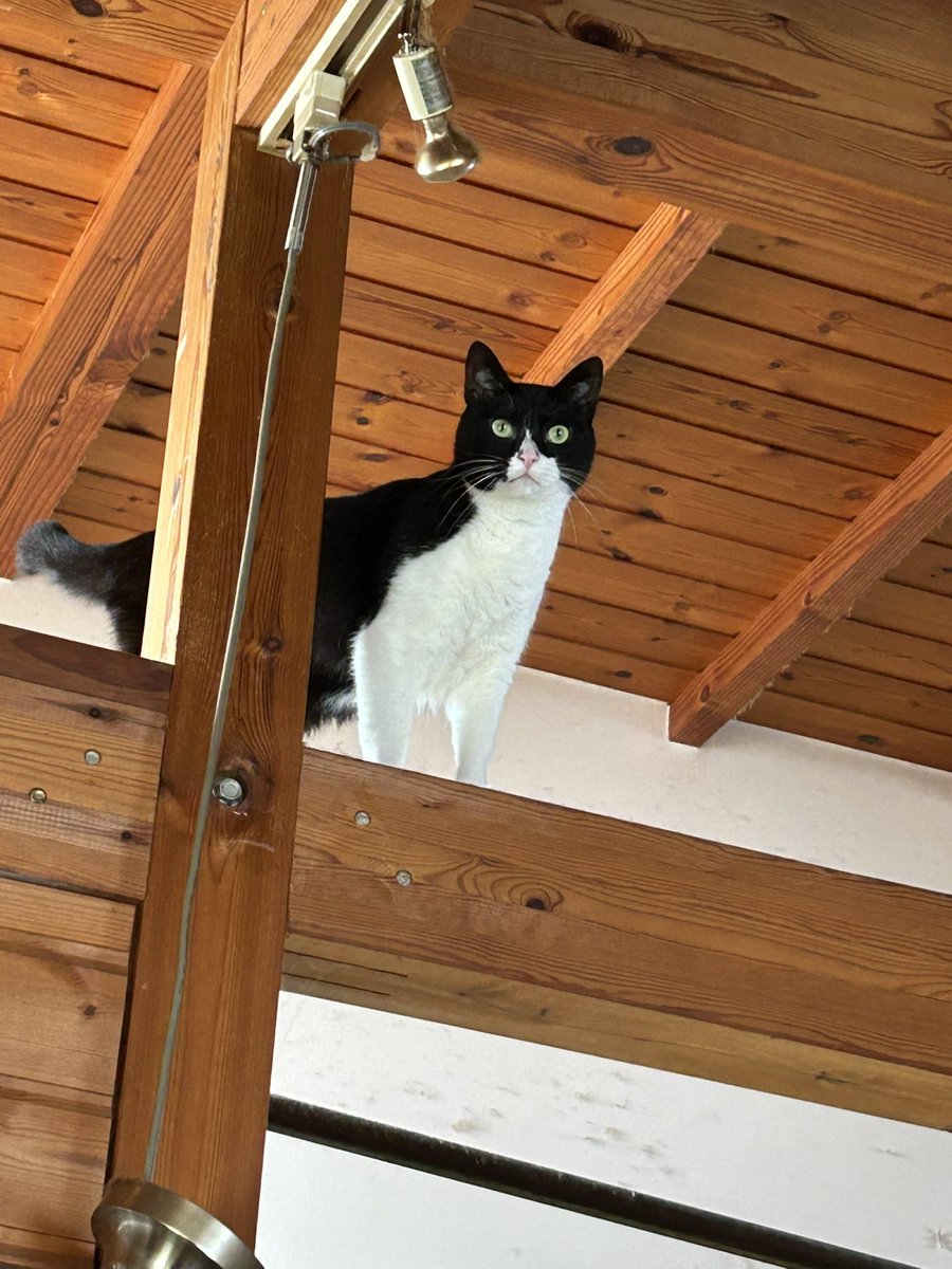 poppy🐥 tweet media