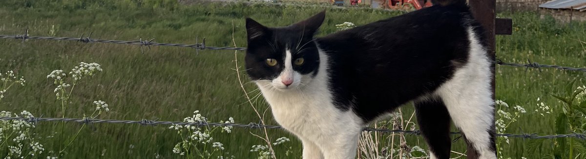 Gece geç geldim ama aklım hep sendeydi 🐾
Dayanamadım, bir bakayım dedim…
Daha kapıyı açmadan sesimi duyup gelişi 🥺
Bütün yorgunluğumu alan ela gözlü oğluşum 🤍