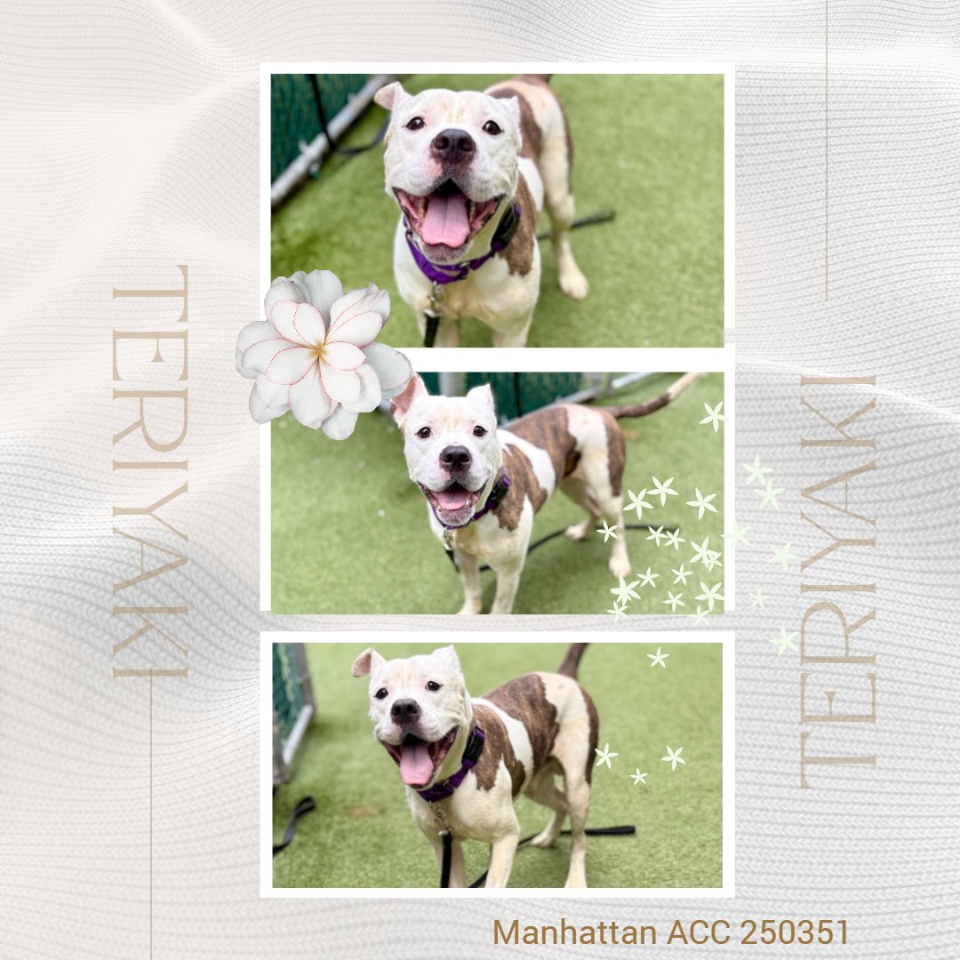 MakeCA_REDagain tweet media