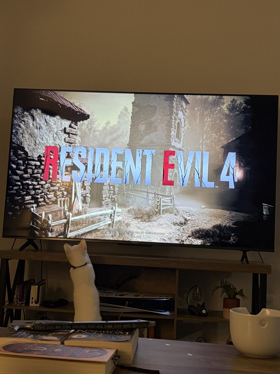 rach 🍀 tweet media