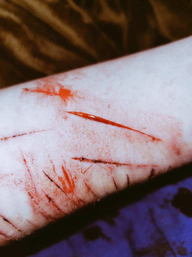 Aven of shtwt 🦇 tweet media