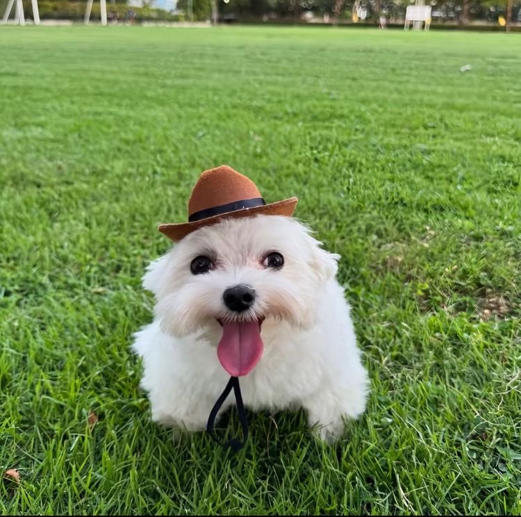 R3 Umild tweet media