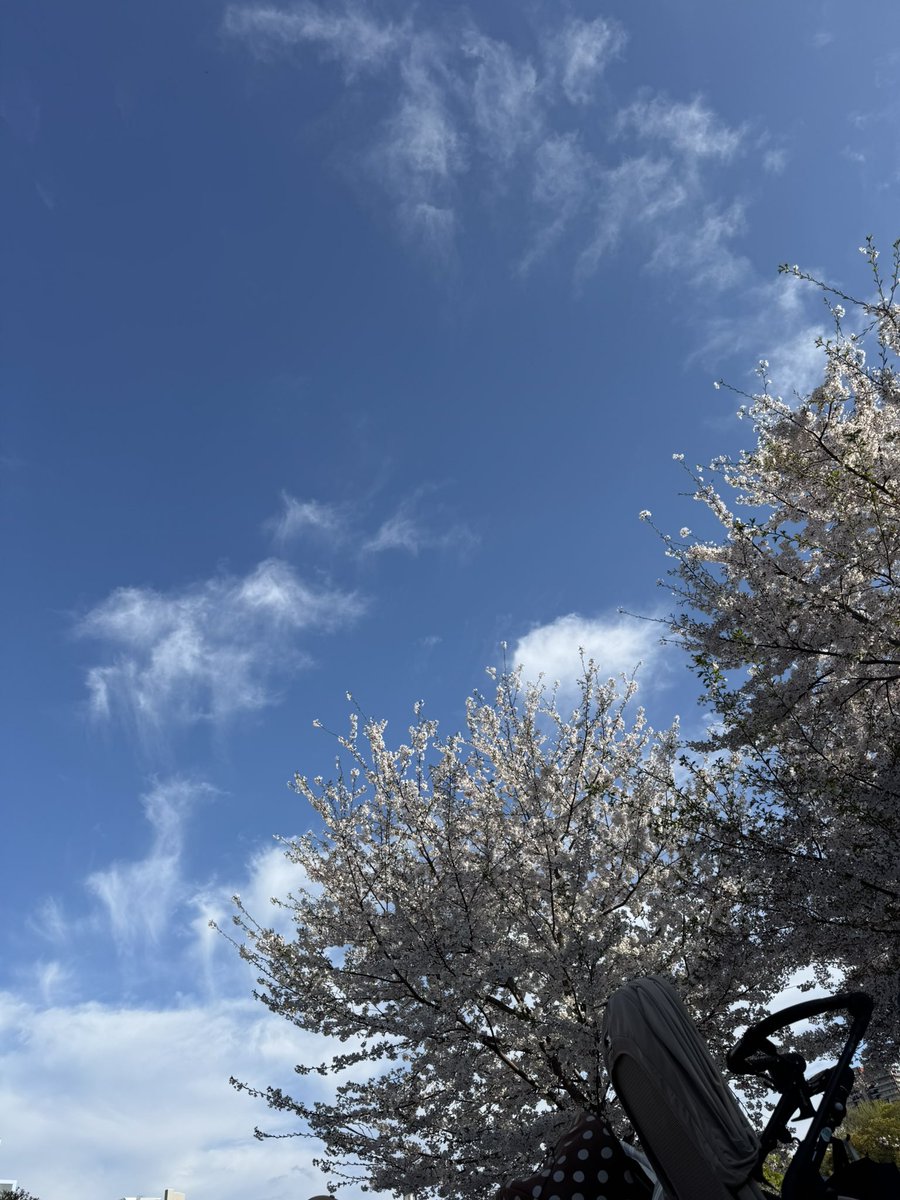 薬局経営おじさん tweet media