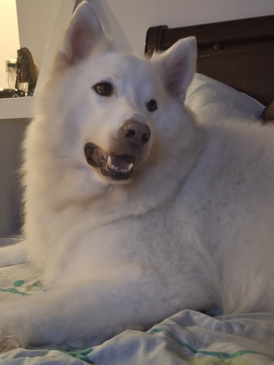 Ayinn's wife (☆Mitsuki☆) tweet media