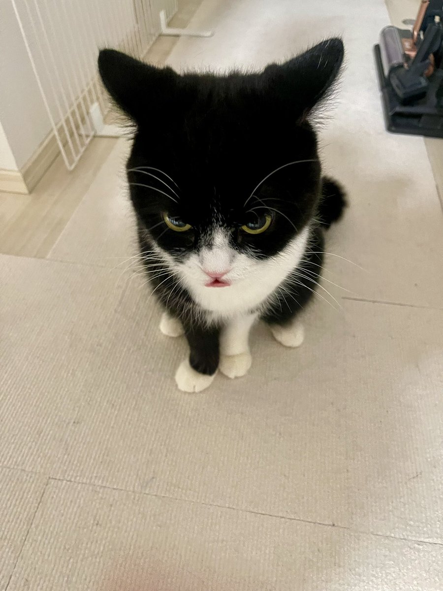 たろう tweet media