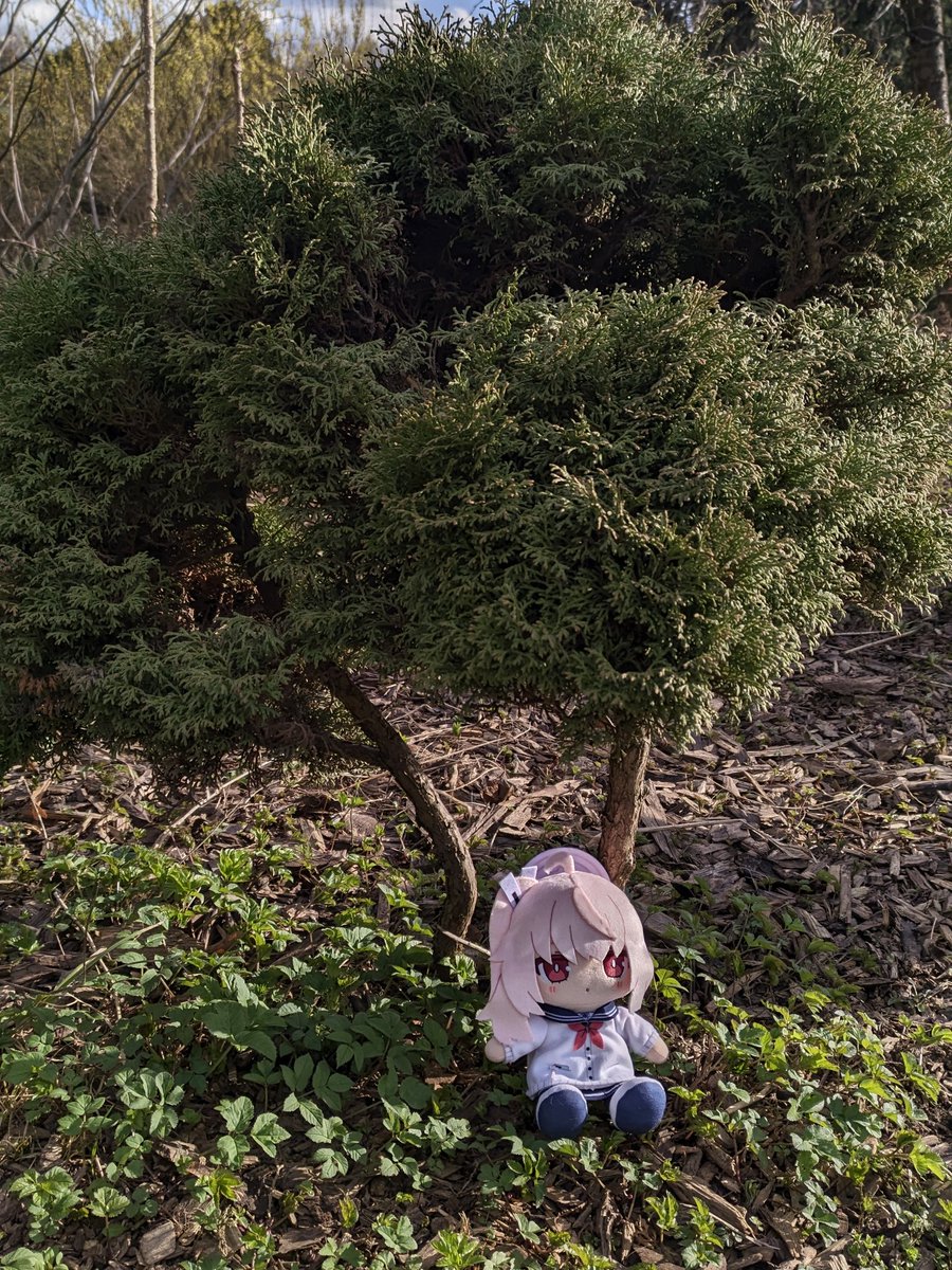 StarDust tweet media