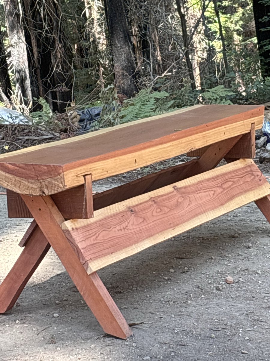 Steven Anthony Fiorentino tweet media