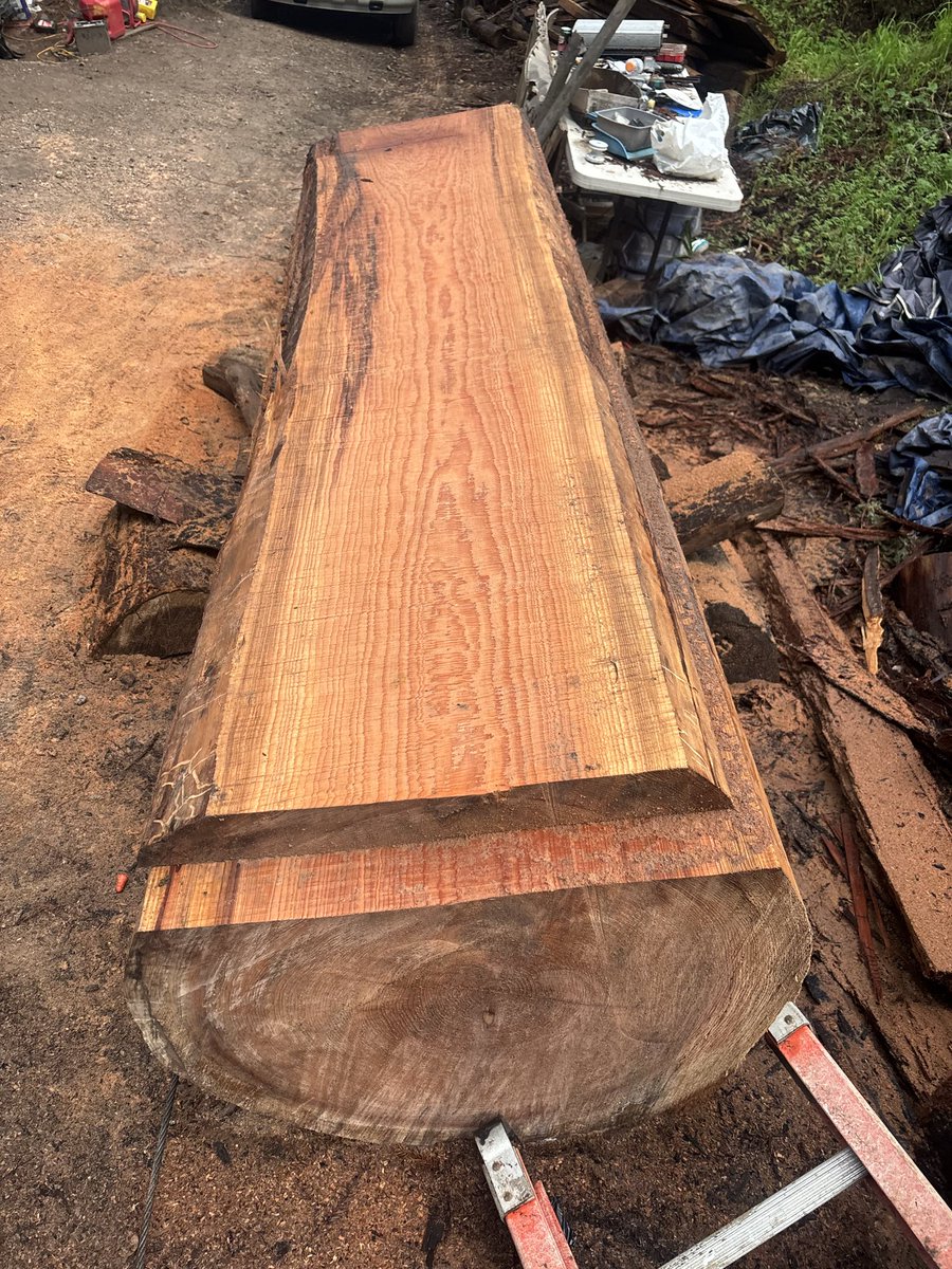 Steven Anthony Fiorentino tweet media